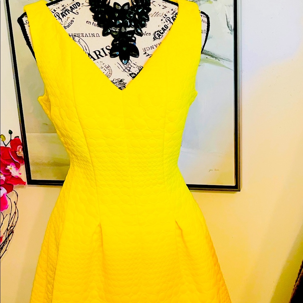 Pretty Yellow Lady